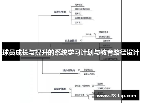 球员成长与提升的系统学习计划与教育路径设计