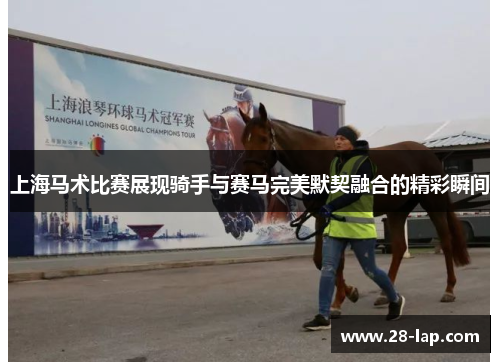上海马术比赛展现骑手与赛马完美默契融合的精彩瞬间