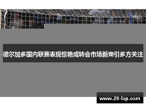 德尔加多国内联赛表现惊艳成转会市场新宠引多方关注