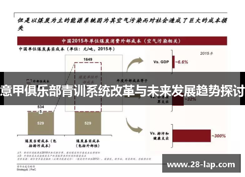 意甲俱乐部青训系统改革与未来发展趋势探讨