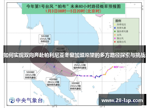 如何实现双向奔赴帕利尼亚冬窗加盟愿望的多方路径探索与挑战