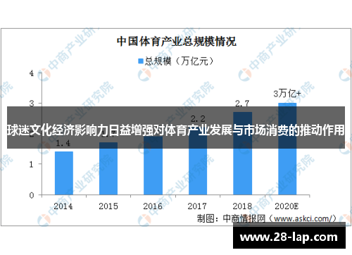 球迷文化经济影响力日益增强对体育产业发展与市场消费的推动作用
