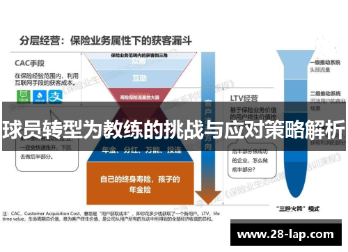 球员转型为教练的挑战与应对策略解析