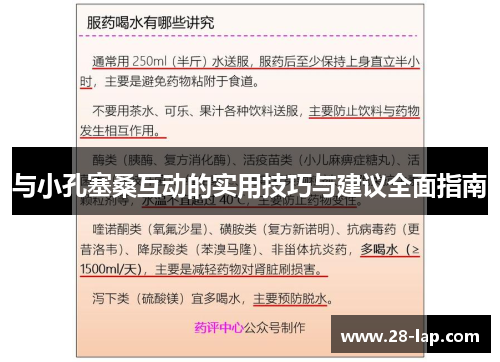 与小孔塞桑互动的实用技巧与建议全面指南