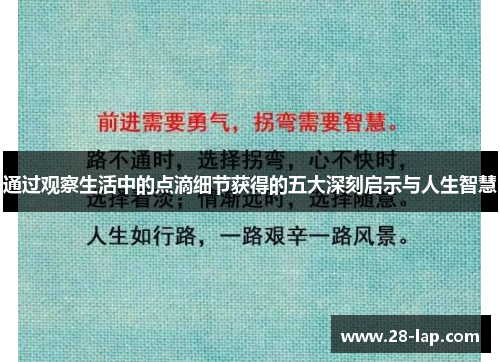 通过观察生活中的点滴细节获得的五大深刻启示与人生智慧